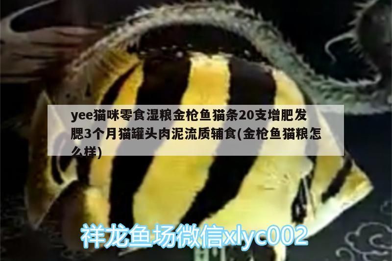 yee貓咪零食濕糧金槍魚貓條20支增肥發(fā)腮3個月貓罐頭肉泥流質(zhì)輔食(金槍魚貓糧怎么樣)