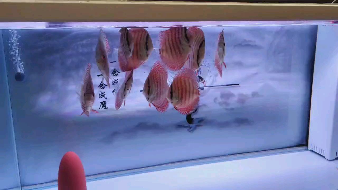 到家6個月記錄