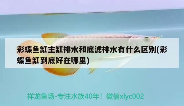 光特億水泵靜音效果怎么樣：晚上走夜路，你們碰到過(guò)什么古怪的事情