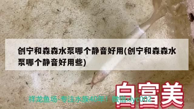 創(chuàng)寧和森森水泵哪個(gè)靜音好用(創(chuàng)寧和森森水泵哪個(gè)靜音好用些)