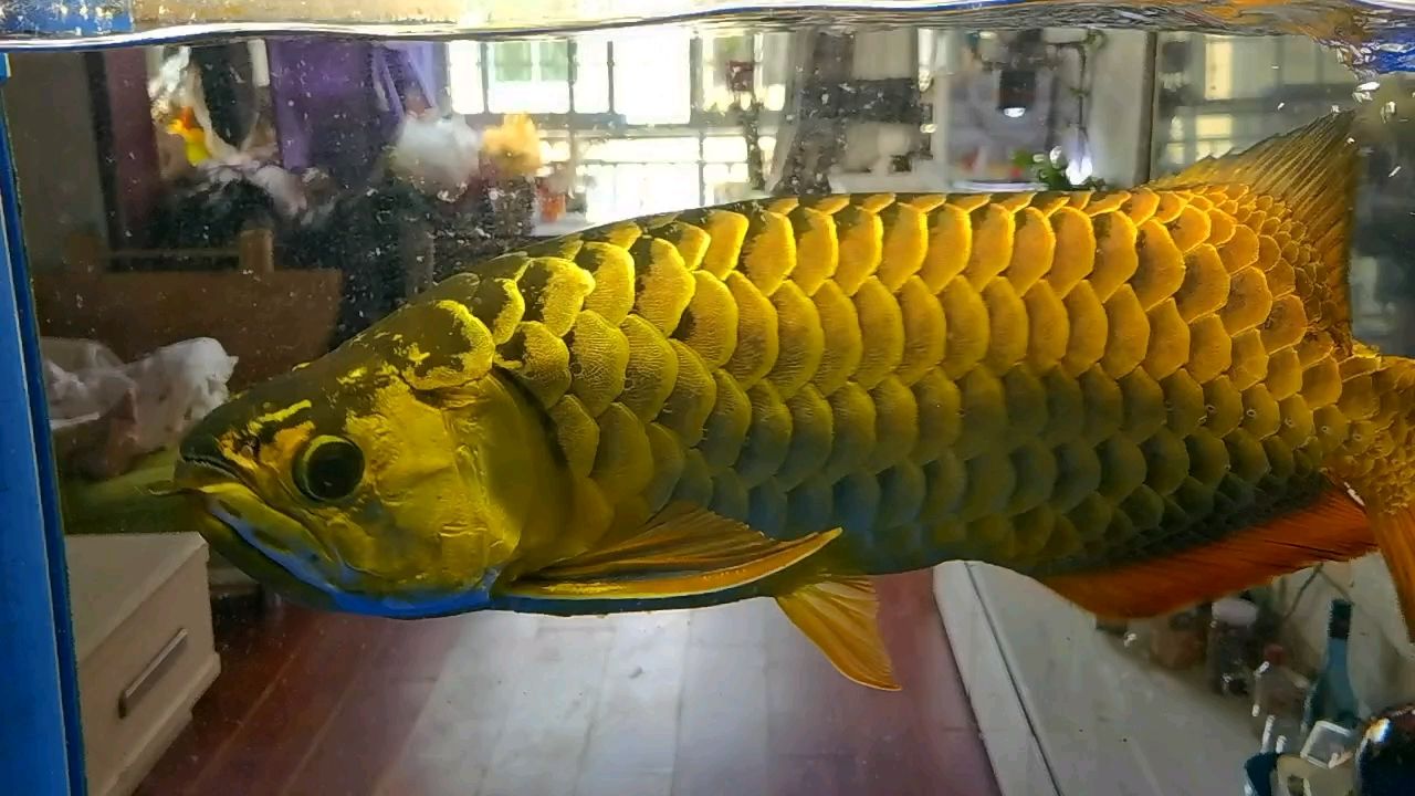 8年362天