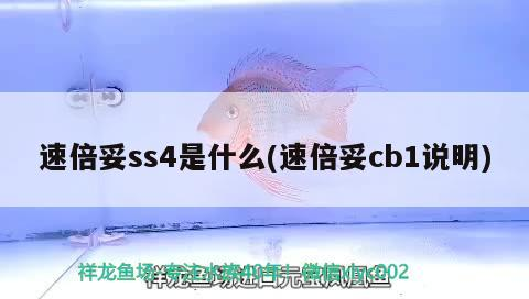 速倍妥ss4是什么(速倍妥cb1說明) 速倍妥ss4是什么(速倍妥cb1說明) 速倍妥