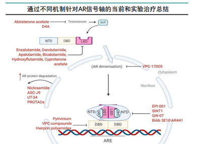 魚跳缸了，真的預示運氣不好嗎？科學與民俗的碰撞