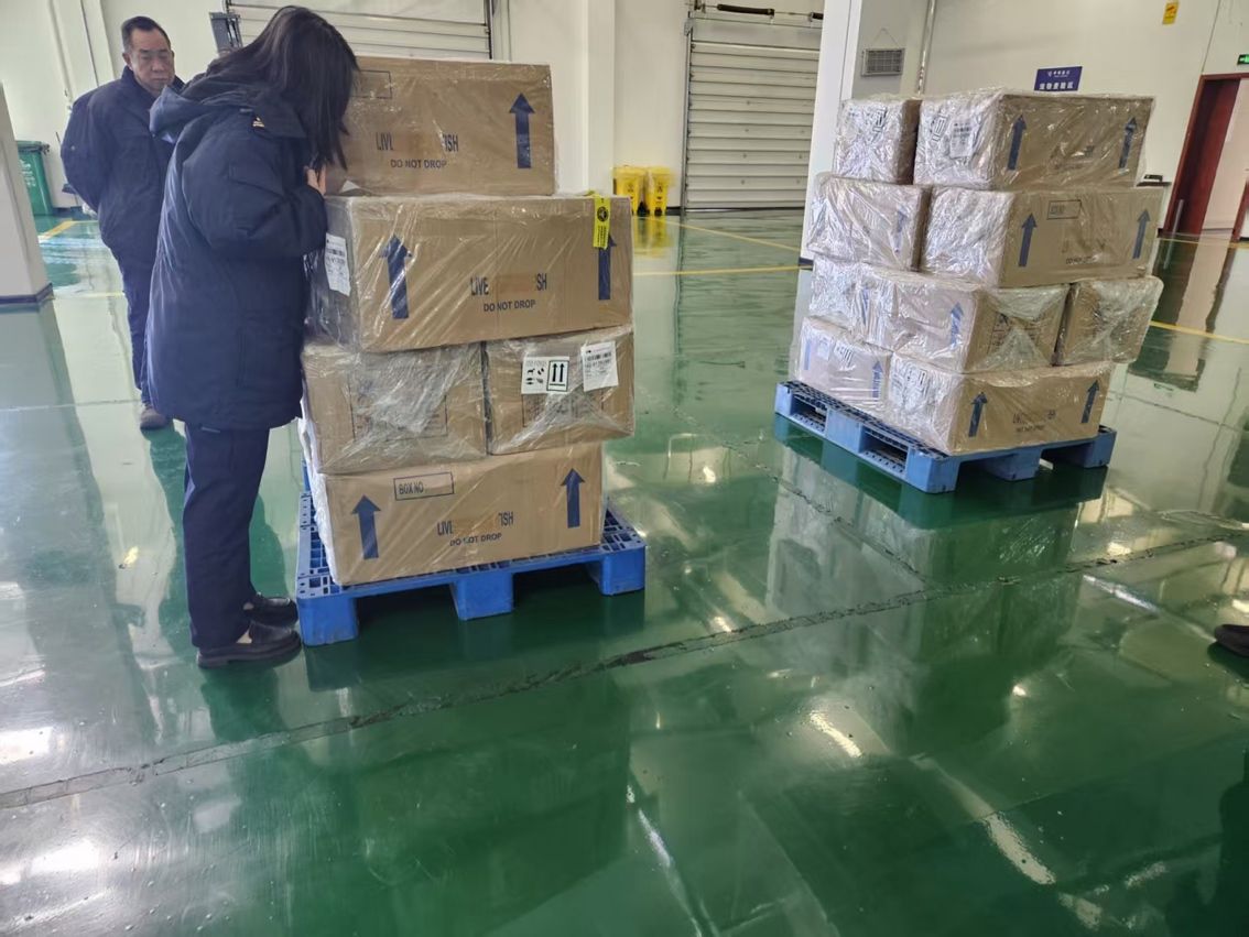 沙巴印尼直飛 沙巴印尼直飛 龍魚論壇 第2張