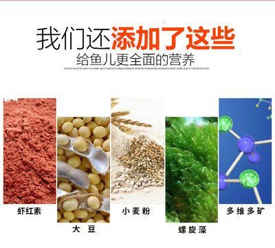 觀賞魚(yú)專用魚(yú)餌（觀賞魚(yú)專用魚(yú)餌推薦及種類介紹）