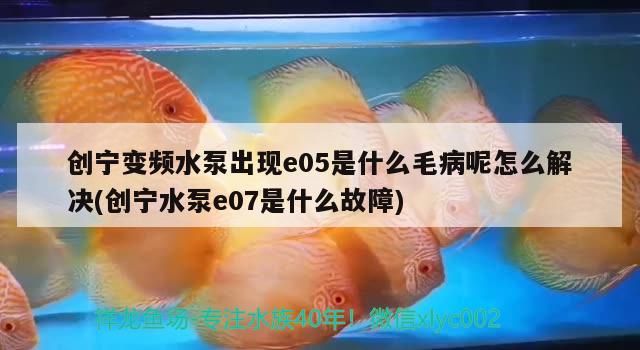 創寧變頻水泵出現e05是什么毛病呢怎么解決(創寧水泵e07是什么故障)