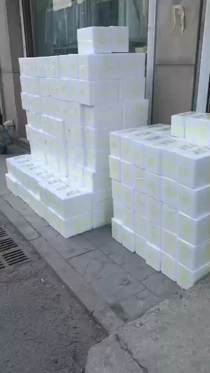 善玉細菌孔雀魚魚糧 上一波 善玉細菌孔雀魚魚糧 上一波 龍魚論壇