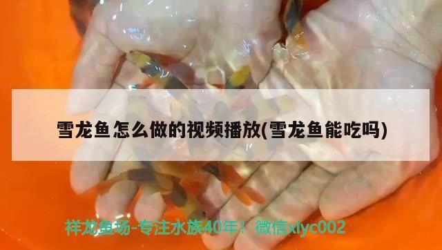 魚缸用增氧泵價(jià)格是多少:魚缸增氧機(jī)-xtrac增氧機(jī)-xtrac增氧機(jī) 雪龍魚怎么做的視頻播放(雪龍魚能吃嗎) 九鼎魚缸 雪龍魚怎么做的視頻播放(雪龍魚能吃嗎) 雪龍魚怎么做的視頻播放(雪龍魚能吃嗎) 九鼎魚缸