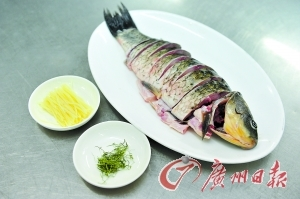 魚塘用防滲膜養魚好嗎？全面解析其優缺點與應用技巧