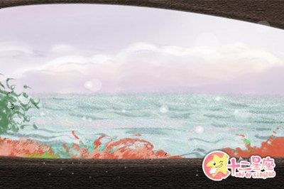 豬鼻龜招財辟邪嗎圖片欣賞：豬鼻龜在文化上被視為吉祥和招財的象征，豬鼻龜風水作用詳解