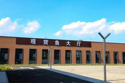 大魯店觀賞魚批發市場（北京大魯店觀賞魚批發市場）