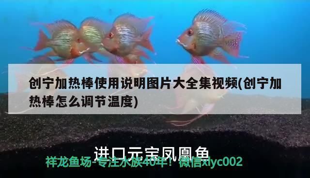 創(chuàng)寧加熱棒使用說明圖片大全集視頻(創(chuàng)寧加熱棒怎么調(diào)節(jié)溫度)