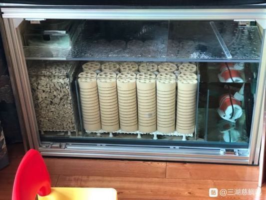魚塘里面魚慢慢死亡的原因分析與防治策略 魚塘里面魚慢慢死亡的原因分析與防治策略 龍魚百科 第2張