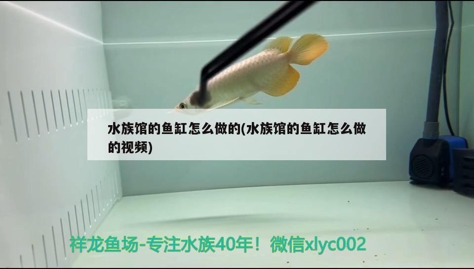 孟吉爾～孟吉爾紅外線F1炮彈