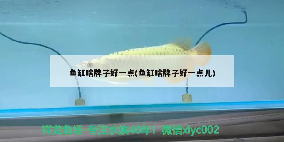 孟吉爾～孟吉爾紅外線F1炮彈