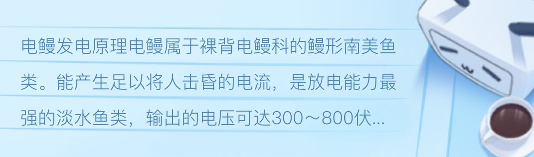 魚塘里面的魚死了是什么原因？全面解析魚類死亡的可能因素