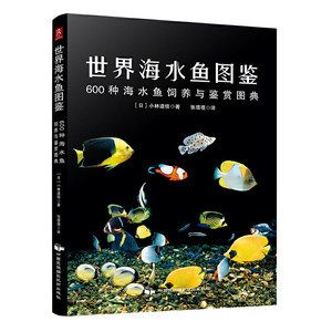 觀賞魚海魚怎么養好（養觀賞魚海魚的一些基本方法）