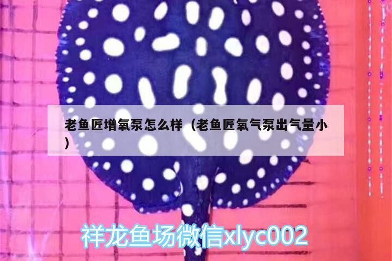 老魚匠增氧泵怎么樣（老魚匠氧氣泵出氣量小）