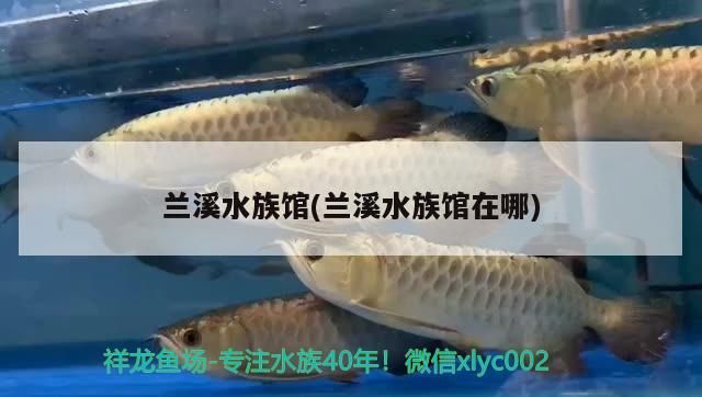 蘭溪水族館(蘭溪水族館在哪)