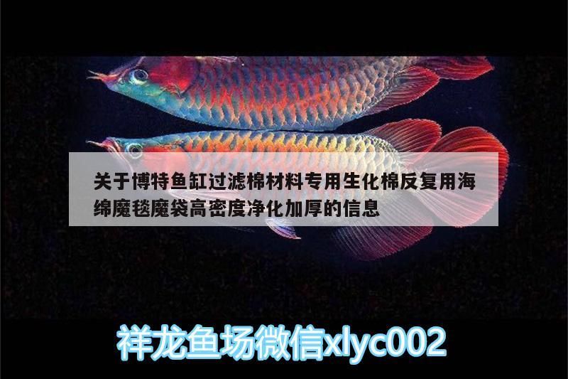 關于博特魚缸過濾棉材料專用生化棉反復用海綿魔毯魔袋高密度凈化加厚的信息