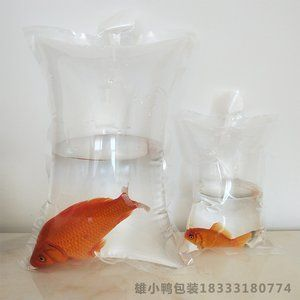 冬天觀賞魚如何發(fā)快遞（冬天發(fā)快遞觀賞魚需要注意保暖措施以確保觀賞魚運(yùn)輸過程中存活）