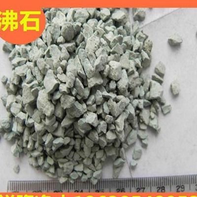 怎么麻醉龍魚視頻：如何安全麻醉龍魚，方法、注意事項及應用場景詳解