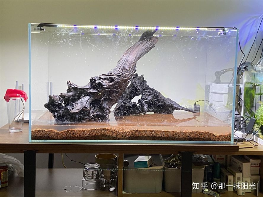 80公分魚缸造景視頻：80公分原生缸造景視頻