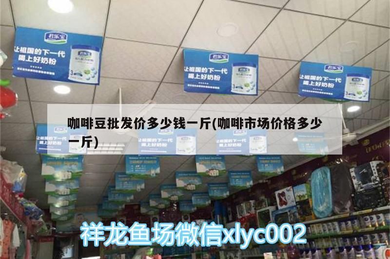 咖啡豆批發價多少錢一斤(咖啡市場價格多少一斤)