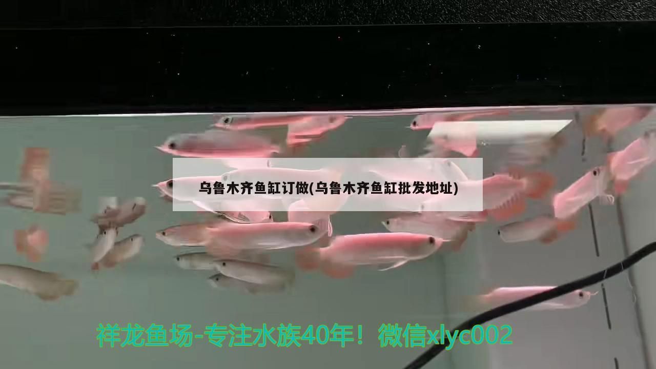 烏魯木齊魚缸訂做(烏魯木齊魚缸批發地址)