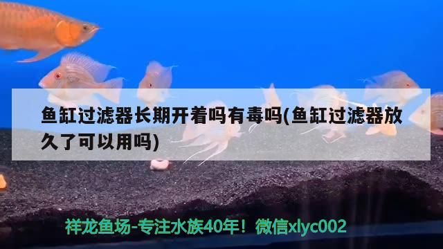 精品龍魚圖片欣賞圖 精品龍魚圖片欣賞圖大全