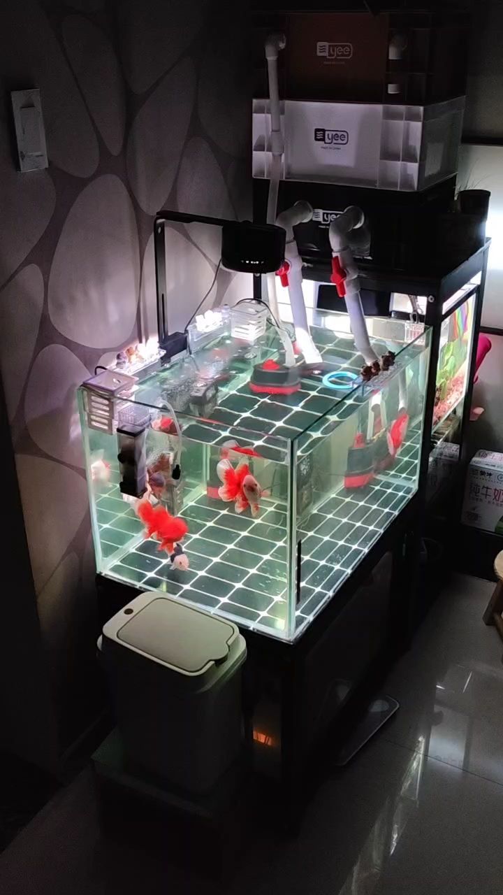不錯