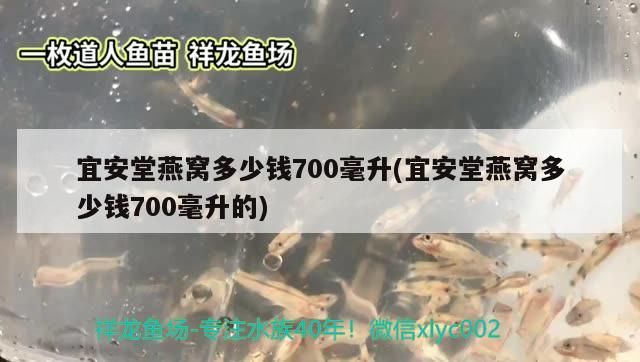 蕪湖魚缸定做店電話多少 蕪湖魚缸定做店電話多少號 李亞四龍魚 第2張 蕪湖魚缸定做店電話多少 蕪湖魚缸定做店電話多少號 蕪湖魚缸定做店電話多少 蕪湖魚缸定做店電話多少號 李亞四龍魚 第2張