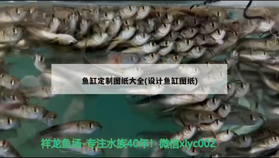 魚缸定制圖紙大全(設計魚缸圖紙)