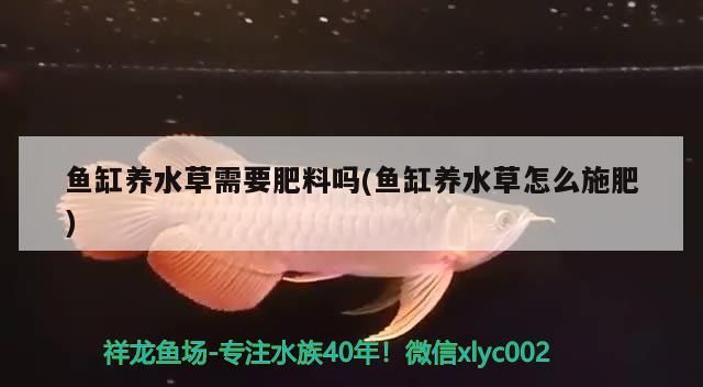 赤峰水族批發市場地址電話號是多少（赤峰水產批發市場在哪?）