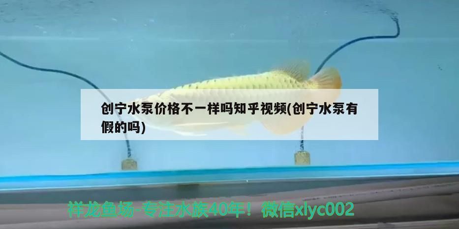 創寧水泵價格不一樣嗎知乎視頻(創寧水泵有假的嗎)