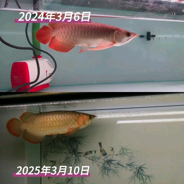 一年的變化！