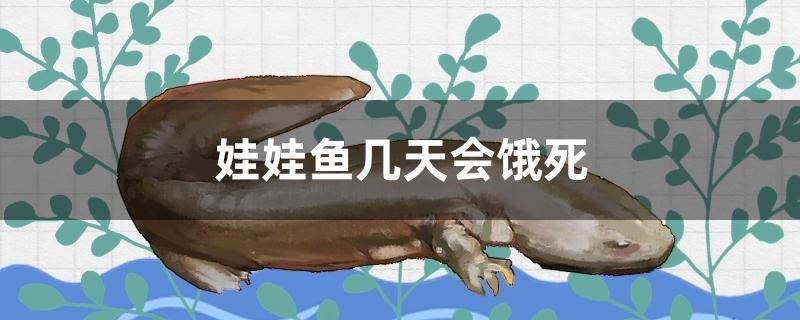 各種觀賞魚的圖片和名字（常見觀賞魚品種大全及圖解）