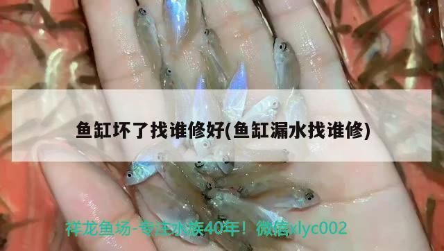 速倍妥說明書(速倍妥s8)