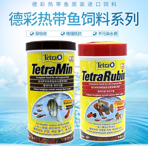 魚身上潰爛的特效藥，原因、治療與預防全解析