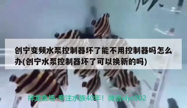 創寧變頻水泵控制器壞了能不用控制器嗎怎么辦(創寧水泵控制器壞了可以換新的嗎) 創寧變頻水泵控制器壞了能不用控制器嗎怎么辦(創寧水泵控制器壞了可以換新的嗎) 創寧水族