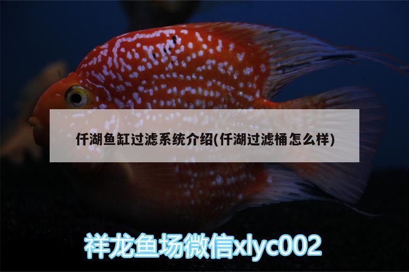 仟湖魚缸過濾系統(tǒng)介紹(仟湖過濾桶怎么樣)