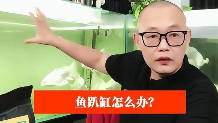 蝴蝶鯉趴缸解決方法（蝴蝶鯉趴缸原因分析）