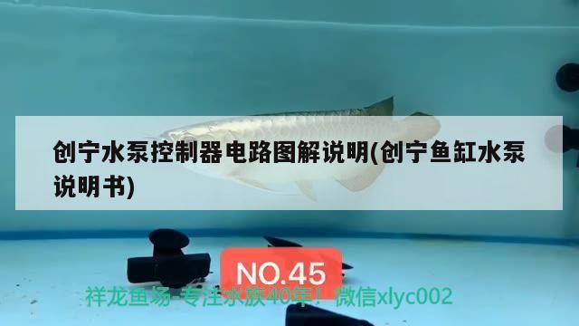 魚缸過濾器選購指南:自制魚缸過濾器魚缸上置過濾器對于養魚愛好者的必備知識 創寧水泵控制器電路圖解說明(創寧魚缸水泵說明書) 創寧水族 創寧水泵控制器電路圖解說明(創寧魚缸水泵說明書) 創寧水泵控制器電路圖解說明(創寧魚缸水泵說明書) 創寧水族