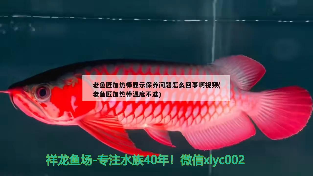 老魚匠加熱棒顯示保養問題怎么回事啊視頻(老魚匠加熱棒溫度不準)