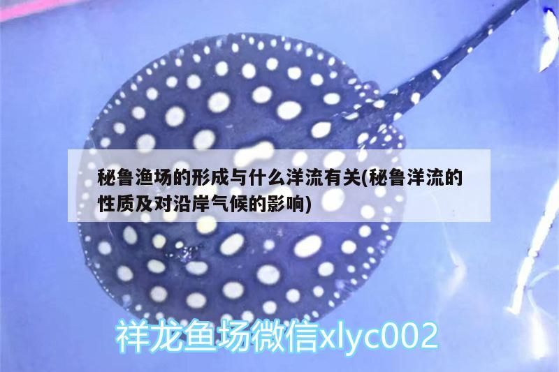 秘魯漁場的形成與什么洋流有關(秘魯洋流的性質及對沿岸氣候的影響)