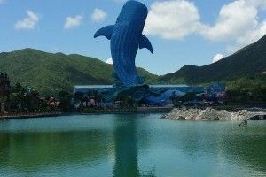 長隆水族館門票價格（長隆水族館門票價格怎么查詢）