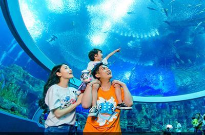 長隆水族館門票價格（長隆水族館門票價格怎么查詢）