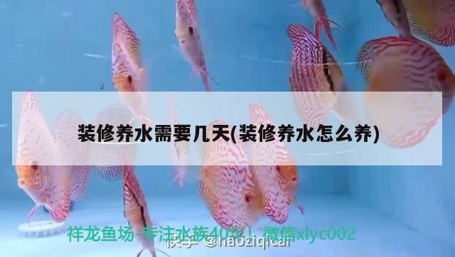 魚趴在魚缸底不動怎么辦？原因分析與解決方法