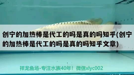 創寧的加熱棒是代工的嗎是真的嗎知乎(創寧的加熱棒是代工的嗎是真的嗎知乎文章) 創寧的加熱棒是代工的嗎是真的嗎知乎(創寧的加熱棒是代工的嗎是真的嗎知乎文章) 創寧水族 第1張
