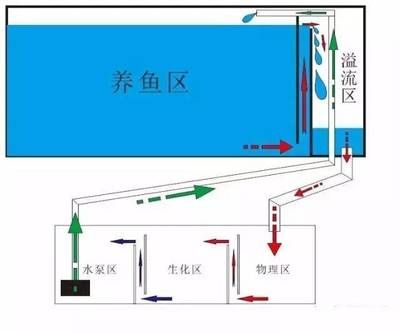 水族館運營與管理研究論文（國內(nèi)外水族館運營管理模式分析）